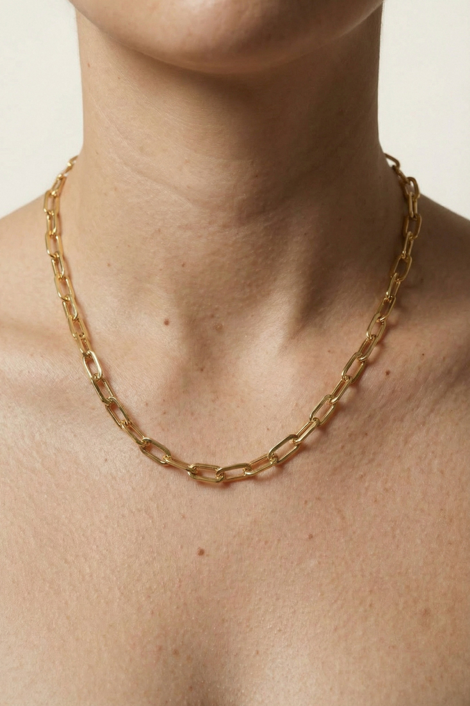 Flat Paperclip Necklace/ M