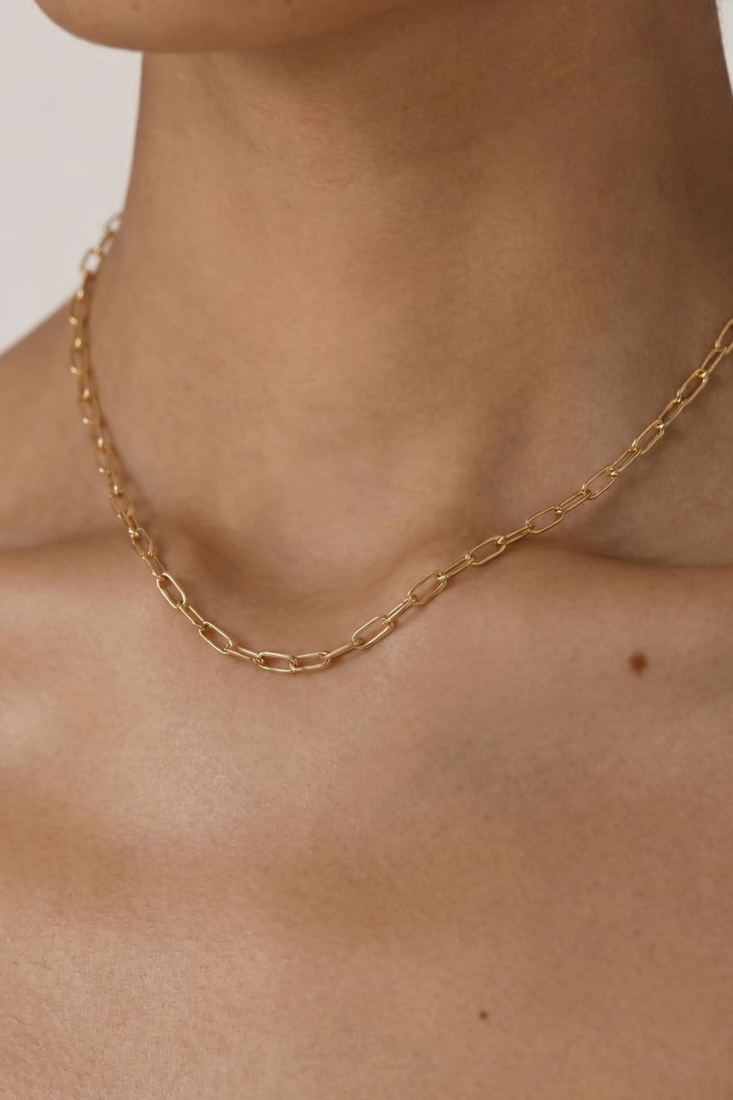 Oval Paperclip Necklace/ M.